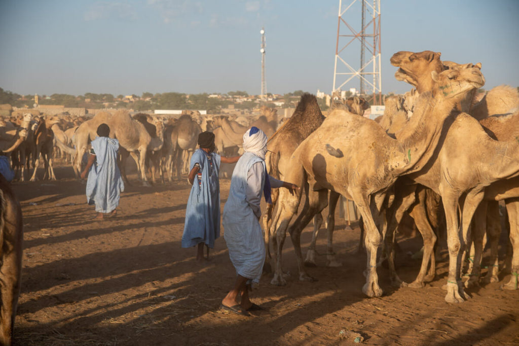travel to Nouakchott