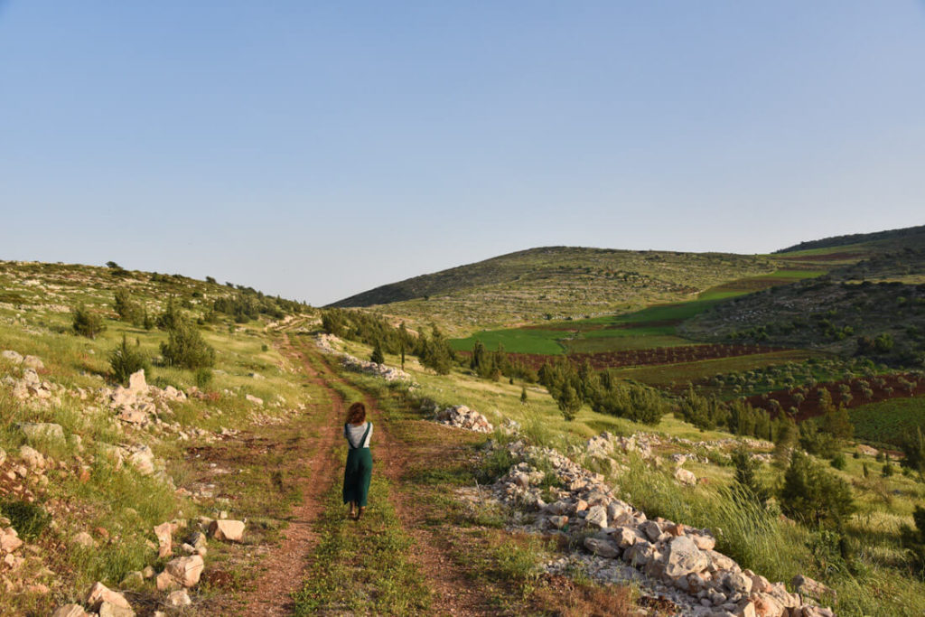 The green hills around Jenin (Raba village)