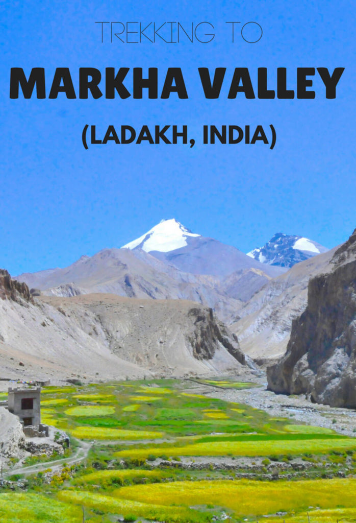 Markha Valley trek, Ladakh
