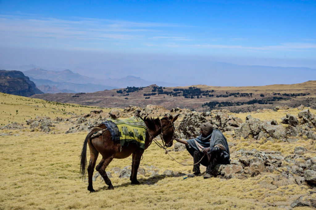 Simien mountains hike