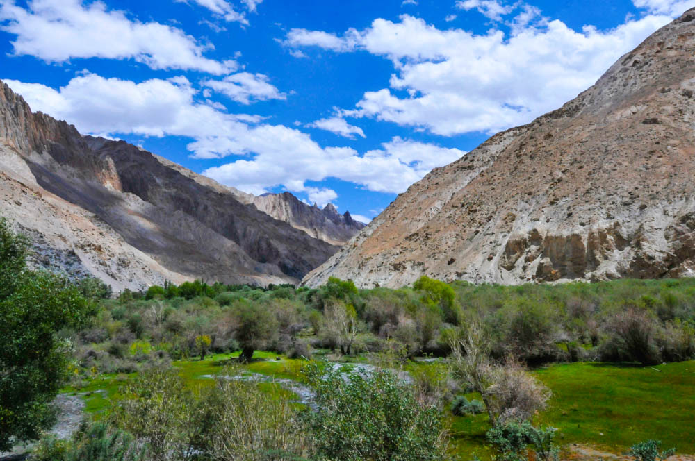 Markha Valley trek follows the Markha river for the most part of it
