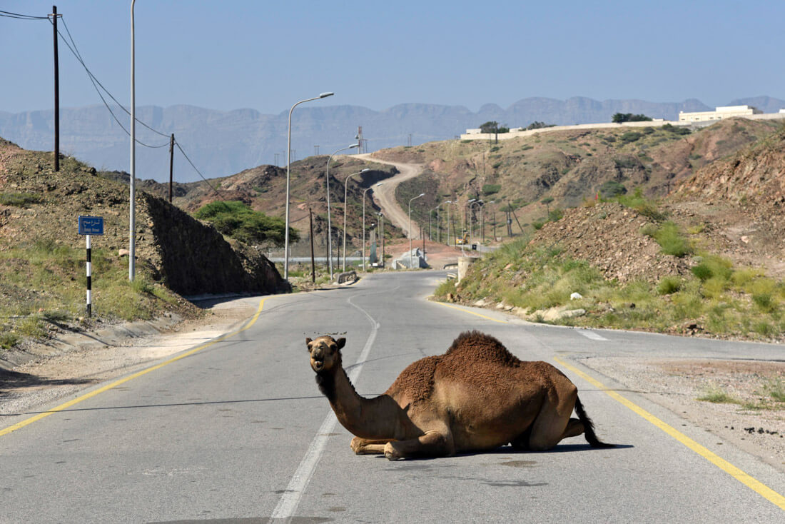 Road safety in Oman